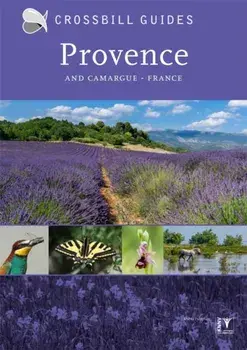 Provence. And Camargue, France, Paperback/Albert Vliegenthart