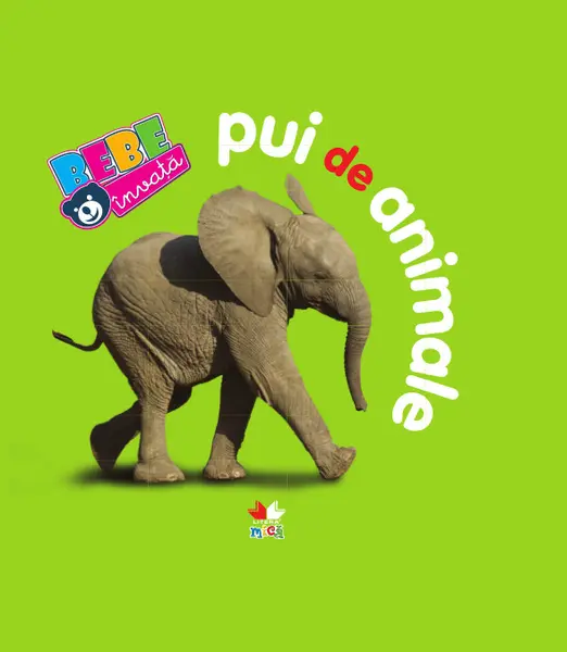 Pui de animale. Bebe învață