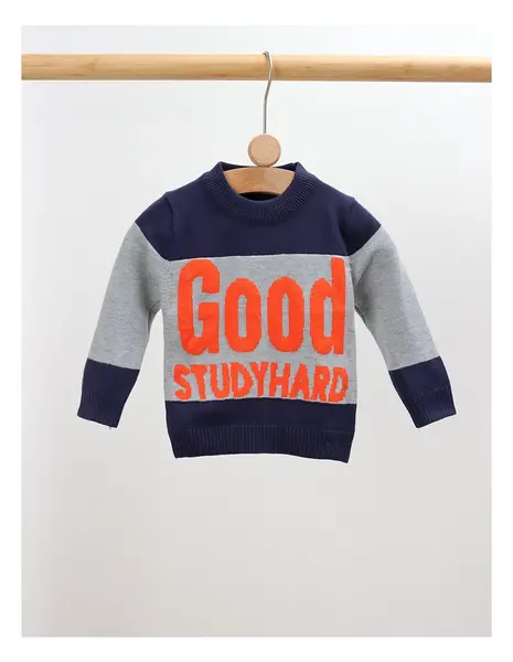 Pulover GOOD STUDYHARD gri-albastru inchis