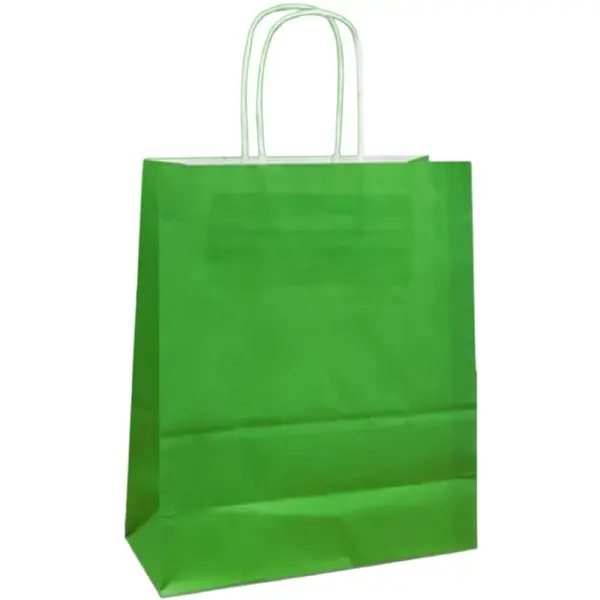 Pungi Hartie cu Manere Rasucite, Biodegradabile, Verde Deschis, 20 x 9 x 25 cm, 100 Bucati