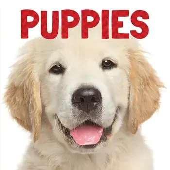 Puppies, Board book/Stephanie Meyers