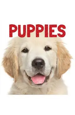 Puppies - Stephanie Meyers