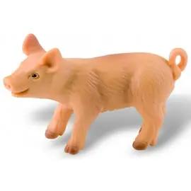Purcel