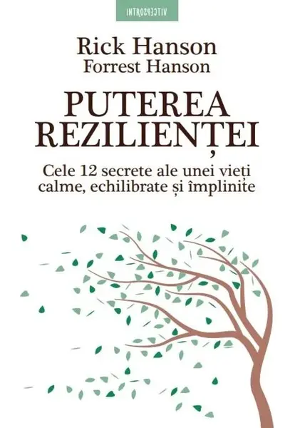 Puterea rezilienței. Cele 12 secrete ale unei vieți calme, echilibrate și împlinite