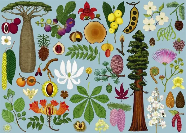 Puzzle 1000 de piese - Arboretum | Big Picture Press