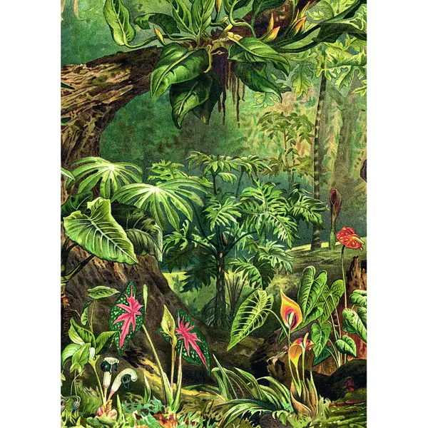 Puzzle 1000 de piese - The Dybdahl Co. - Jungle | Kiub