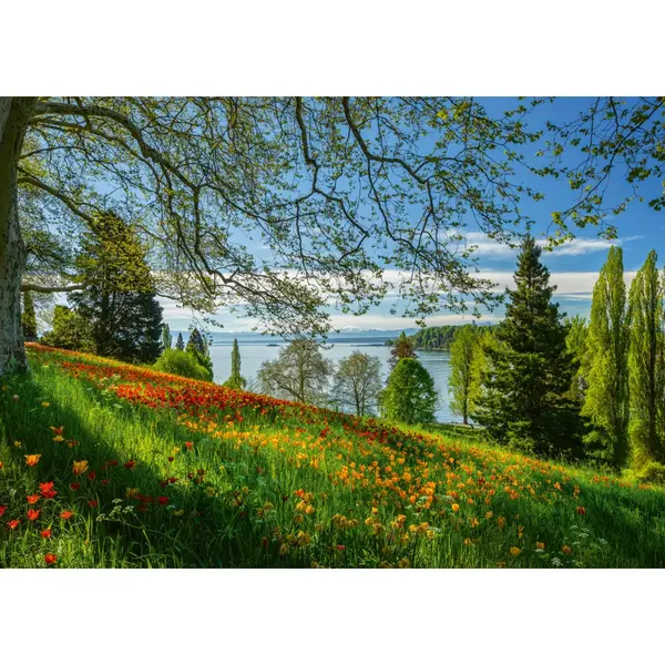 Puzzle 1000 piese - Mainau Island - Tulips Flowering | Schmidt