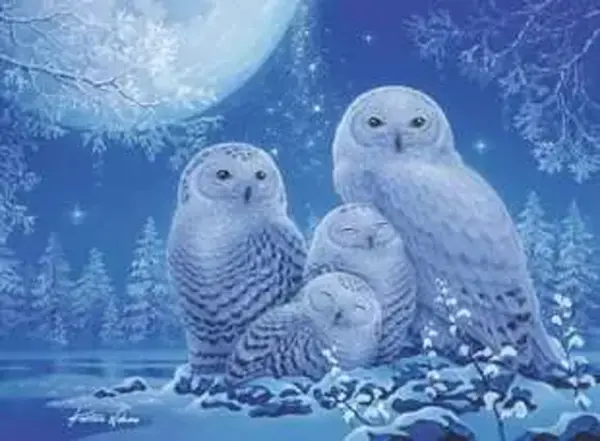Puzzle 500 piese - Glow in the Dark - Owls in the moonlight | Ravensburger