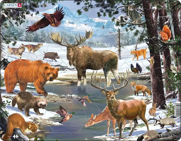 Puzzle 54 piese - Maxi - Northern Forest | Larsen
