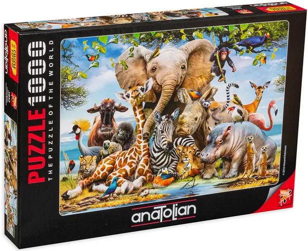 Puzzle Anatolian din 1000 de piese - Zambete din Africa, Howard Robinson