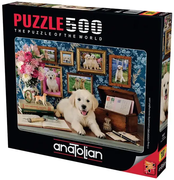 Puzzle Anatolian din 500 piese - Labrador
