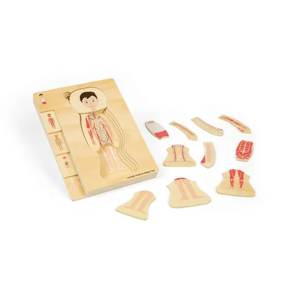 Puzzle anatomic din lemn - Baiat