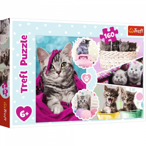 Puzzle carton 160 piese,Lovely kittens,+6 ani