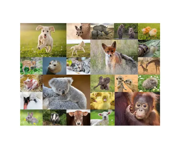 Puzzle clasic - Pui de animale - 200 piese | Ravensburger