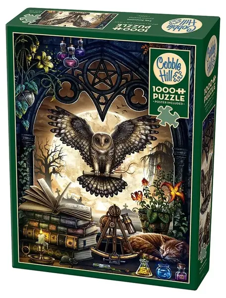 Puzzle Cobble Hill din 1000 de piese - Invocarea