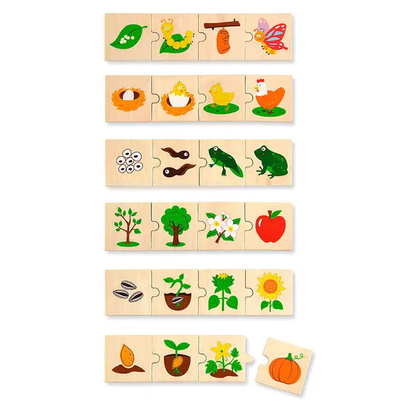 Puzzle din lemn, 24 piese - Etapele dezvoltarii | Viga Toys