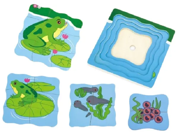 Puzzle educațional Viga - Evoluția unei broaște