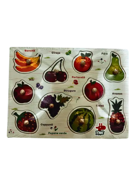 Puzzle lemn incastru Fructe 10 piese cu maner - in limba romana