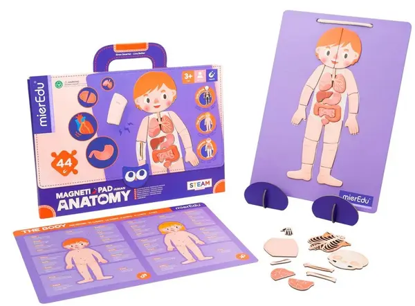 Puzzle magnetic - Anatomia umana | MierEdu
