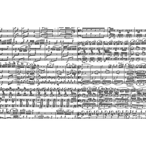 Puzzle - Musical Notes, 1000 piese | Piatnik