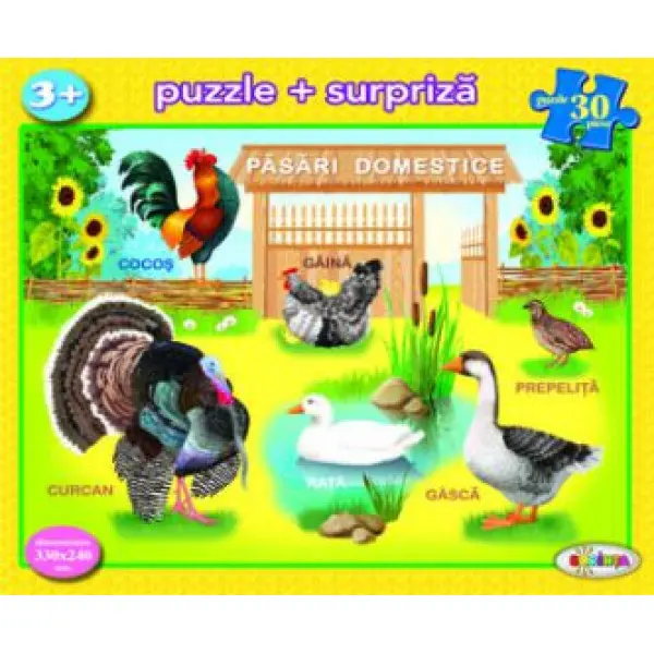 Puzzle - Pasari domestice | Dorinta