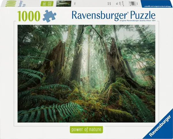 Puzzle Ravensburger din 1000 de piese - Pădure fermecătoare