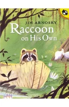 Raccoon on His Own - Jim Arnosky