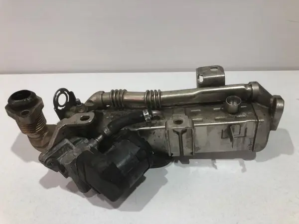 Racitor gaze egr 7823210 07 BMW X6 facelift (2010-2013) [E71] 3.0d