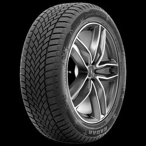 RADAR DIMAX WINTER 205/50R17 93V