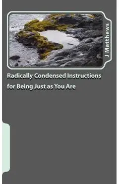 Radically Condensed Instructions for Being Just as You Are - J. Matthews