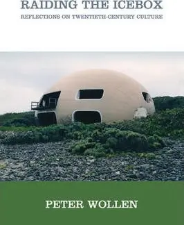Raiding the Icebox | Peter Wollen