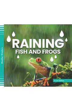 Raining Fish and Frogs - Scott Wilken