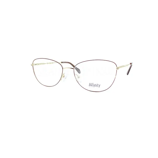 Rame de ochelari Affinty 11 0034 C2 - Variant 8880-1916