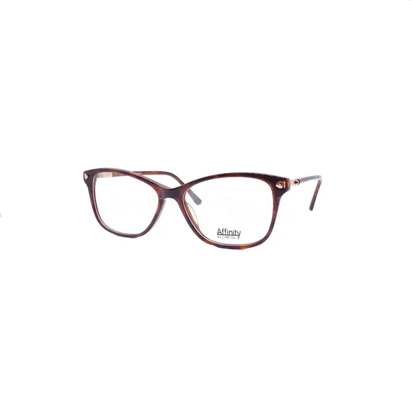 Rame de ochelari Affinty 5009 C2 - Variant 8882-1933
