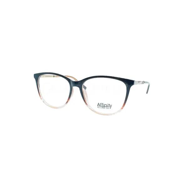 Rame de ochelari Affinty 8102 C4 - Variant 8886-1961