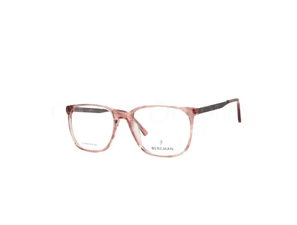Rame de ochelari Bergman 4658 c8 - Variant 5850-2238