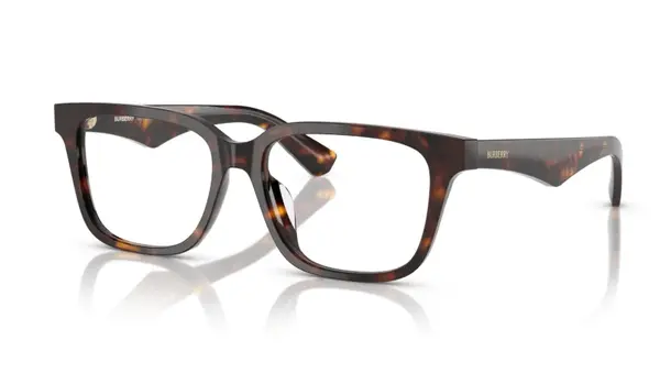 Rame de ochelari Burberry BE2425D 3002 - Default Title