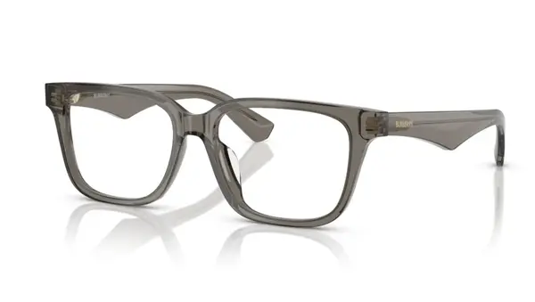 Rame de ochelari Burberry BE2425D 4242 - Default Title