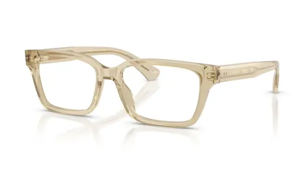 Rame de ochelari Burberry BE2453 4226 - 55