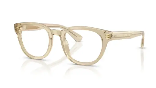 Rame de ochelari Burberry BE2454 4226 - 49