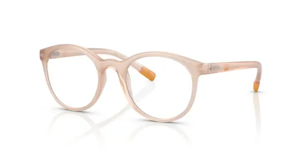 Rame de ochelari Dolce&Gabbana DX5095 3041 - Default Title