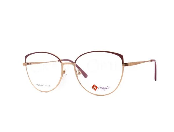 Rame de ochelari Sonata 2607 c2 - Variant 5640-1055