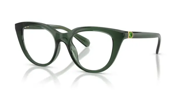 Rame de ochelari Swarovski SK2052 1043 - Default Title