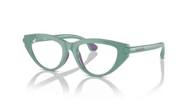 Rame ochelari Burberry JB2011U 4136 - Default Title