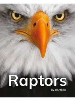 Raptors. Phonics Phase 5, Paperback/***