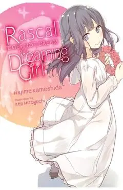 Rascal Does Not Dream of a Dreaming Girl (Light Novel) - Hajime Kamoshida