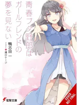 Rascal Does Not Dream of His Girlfriend (light novel), Paperback/Keji Mizoguchi