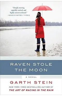 Raven Stole the Moon - Garth Stein