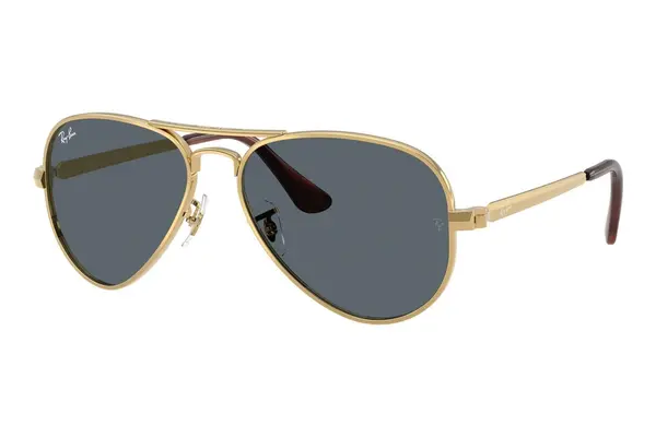 Ray-Ban Aviator Max RB3925 001/R5