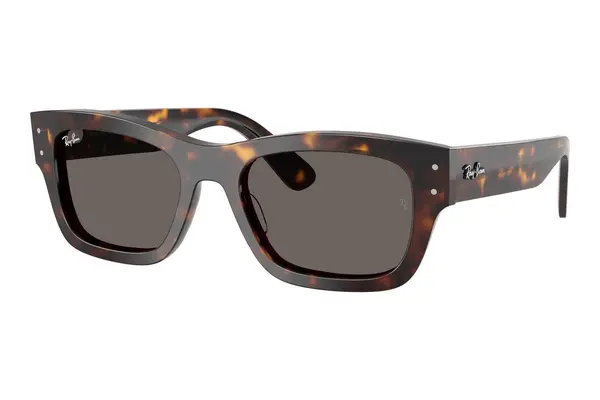 Ray-Ban Joseph RB7683S 902/B1